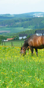 Mit der Mutter im Gras